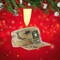 Kurt S. Adler 1.5 Inch U.S. Army Acu Patrol Hat Christmas Tree Ornament , Christmas Military